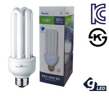 삼파장 건식 안정기내장 EL램프 30W 주광색 E26 28032EA, 1, 본상품선택, 본상품선택