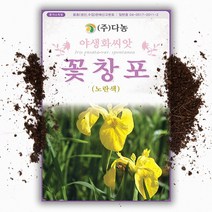 씨앗팜 야생화 꽃씨 노란 꽃창포 종자 씨앗 (1g) 붓꽃과 여러해살이 다년생, 1개