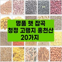 국산 햇 잡곡 20종 고랭지 강원도 홍천산 잡곡 참깨 수수쌀 호랑이줄단콩 약콩 서리태 적두 들깨 능근옥수수 밤쌀 백태 볶음땅콩 깐녹두 둥굴래 자연산, 햇나물:5.생고사리1kg