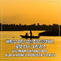 (커피생두) 138 베트남 이탄 생산조합 블랙허니 로부스타-시트러스 3kg