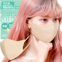 에어에이드 브이핏 국내생산 새부리형마스크 숨쉬기편한 일회용마스크 컬러마스크 중형 대형 마스크, 대형 스킨베이지 50매