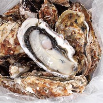 굴 생굴 석화 각굴 하프셀 삼배체 통영 깐굴 산지직송 1kg 5kg, 각굴10kg