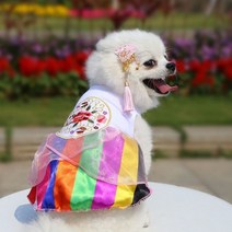귀여운 예쁜 돋보이는 강아지 고양이 옷 겨울 여름 한복 봄과 애완견 웨딩 파티 드레스 드레스 개 스커트 정장 치와와 포메라니안 개 의류, 무지개 색, xs 1-1.5kg