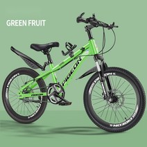 그래블 자전거 바이크 경량 콤프 산악 입문용 트렉 그래블자전거 로드싸이클자전거 매디슨스텔러2.0 로드자전거, 18인치, 녹색 스포크 휠 단일 속도