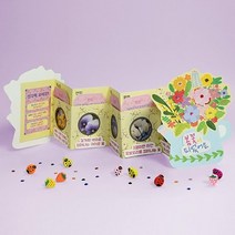 유치원생 봄꽃알아보기 북아트 DIY 4세트 엄마n아빠카네이션