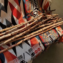 천연소독 대형 자작 나뭇가지 100cm