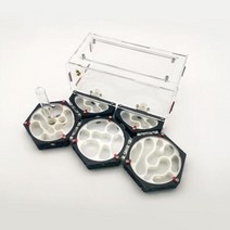 개미집 키우기 세트 3d 개미 둥지 개미 우주 정거장 새로운 여왕 둥지 아크릴 개미 농장 하이 엔드 개미 워크샵 개미 성, 스타일-11