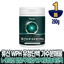 담다 류신 단백질 프로틴 유청단백질 가수분해물 구아검가수분해물 분말 가루 파우더 BACC L 로이신 WPH WPC 농축유청단백질 함유, 1통, 280g