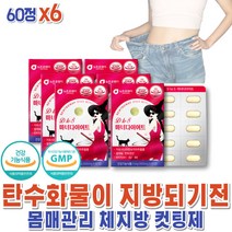 가르시니아 단기간다이어트 뱃살빼는음식 윗배 체지방 빼는법 HCA 뱃살다이어트보조제 예신 여자 HCA x6