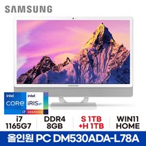 삼성 올인원PC DM530ADA-L78A - 8GB S1TB+H1TB WIN11 HOME 사무용 가정용 공간활용 일체형PC ED