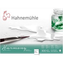 Hahnemuhle Harmony Watercolor Block Hot Pressed 12x16 Inches 12 Sheets, 한개옵션0
