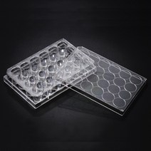 다용도 홈판 24홀 or 96홀 과학실험 실험용 플레이트, 02. 다용도홈판 96홀