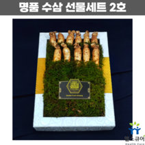 금산고려인삼 5년근 6년근 수삼 선물세트 인삼 뿌리 남자친구아버님 예비시댁 결혼인사 사돈댁 선물 11뿌리