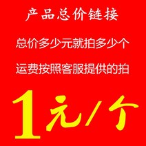 SLR 카메라 가방 디지털 차이 링크, [01] 옵션1