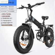 20인치 전기자전거, 100km, 48V