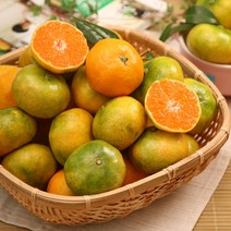 [제주향기] 고당도 하우스 제주 감귤(로얄), 3kg, 1개