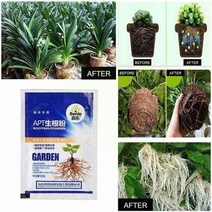 정원 원예 복합 비료 bonsai plant apt growth root 약용 호르몬