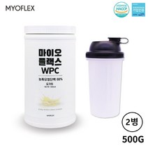 프로틴 bcaa 글루타민 아미노산 아르기닌 단백질 보충제 쉐이크 유청 WPC 비타민 류신 BCAA, 2병, 500g