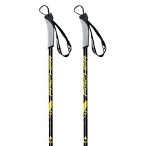 Fischer 폴란드 Sprint