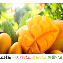 신선한 고당도 무지개망고 레인보우망고 최상급 골드망고 애플망고 프리미엄 선물세트 마하차녹 항공직송 제철과일, 항공 애플망고1K+1K(4-6과)