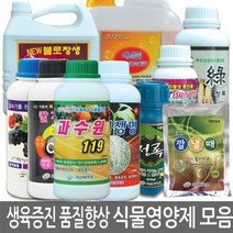 윈지커머스_221102 [WINZI_몰] 꽃관리제 조경촉진제 수경재배용품 나무비료 조경비료, 옵션-항목선택_송이쭉쭉 1000ml