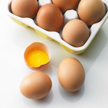 (농협안심계란)HACCP 농장생산 신선란 특란 계란 30구