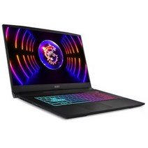MSI 2023 스워드 GF76 17.3, 블랙, 코어i7, 16GB, 512GB, WIN11 Home, B12VEK (215)