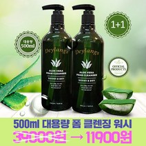 데이랑스 알로에 500ml 폼 클렌저 1+1 행사중, 1개, 500g