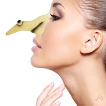 할러윈 부분가면 매부리코 파티가면 마녀코