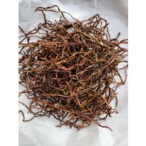 지리산 산청 약초 골쇄보 자연산 200g (국산 한약재 골세보 넉줄고사리) 차, 1개