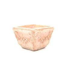 다육식물 뿌리관리 배수원활 분갈이토분 군생 염자 야외테라스 집꾸미기 샤를로스, x