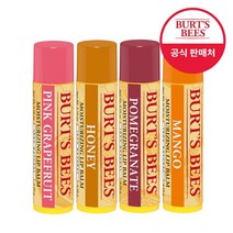 버츠비 모이스춰라이징 립밤 4.25g x2 택1, 20_딸기 x1+자몽 x1