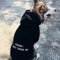 겨울 애완견 반려견 고양이 개플룩 댕플룩 주인 트렌디한 맨투맨 대형견 시밀러룩, 여성 프리사이즈, 반려동물 사진첩