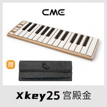 블루투스 미니 키보드 초박형 IOS용 25키, xkey 25 와이어드 팰리스 골드