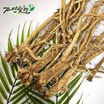 국산 제천 황기 3년근 차 효능, 3년근 황기(절) 300g (수제절단작업)