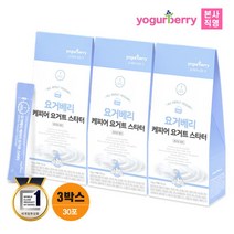 [휴럼] 요거베리 케피어 요거트 스타터 3박스(30포) 티벳 버섯 효모 유산균 종균 요거트, 상세 설명 참조, 상세 설명 참조, 상세 설명 참조