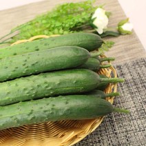 취청오이(상)3kg 1박스 자연대로팜웨이