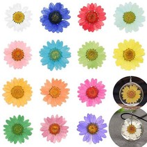 짤순이 세탁 12 Pcs 에폭시 수 지 던 트 목걸이 쥬얼리 공예 DIY 원룸 대용량, yellow