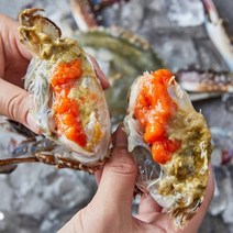 홍천철원 태안 알배기 활 암꽃게 1kg (3~5마리), 없음