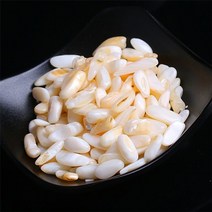 비바리움식물 이끼 테라리움이끼 재료 생이끼 양지이끼 서리이끼 비단이끼 천연이끼 50100g 천연 크리스탈 자수정 마노 불규칙한 미네랄 치유 돌 자갈 표본 수족관 가정 장식 적합, 흰 소라, 50 그램