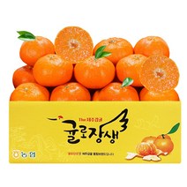 [10+1] 설 선물세트 제주시농협 레드향 선물세트 3kg 5kg 10개구매시 1박스 덤증정, [10+1 ]레드향 선물세트3kg중과(13-15과)