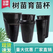 묘목 컵 비닐포트 영양 그릇 플라스틱 특수 모양의 모종 냄비 얇은 고영양 가방 일회용, 7.1518 실제 1417 센티미터 3000