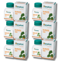 히말라야 구두치 Himalaya Guduchi 면역증강 6box in 1set(360정)