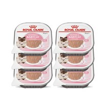 마더앤 베이비캣 캔 습식사료 100gX6P, 마더앤 베이비캣 캔 습식사료 10