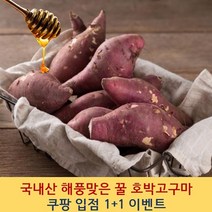 [1+1 증정] 국내산 해풍맞은 당진 고구마 꿀고구마 고구마5kg 고구마10kg 강아지고구마 고구마다이어트 냉동고구마 햇고구마 해남밤고구마 해남꿀고구마 군고구마 찐고구마 황토고구마, 세척 호박고구마(특상품), 2kg+2kg