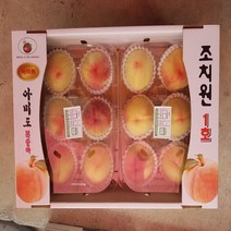 조치원 하우스복숭아 털복숭아 백도 말랑이 1kg 4-7과, 1000g, 상세페이지 참조, 상세페이지 참조, 상세페이지 참조