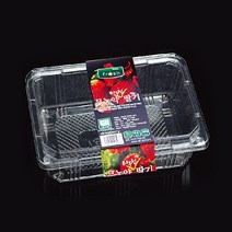 태방파텍 포장용기 TB-301-1k [딸기 1kg] / 과일트레이 과일포장용기 농산물포장 식품포장재