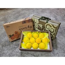 제수용 제주 황금향 감귤 2kg 3kg 5kg선물용 제주황금향, 5kg(9~13과)