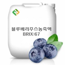 블루베리주스농축액 20kg, 단품