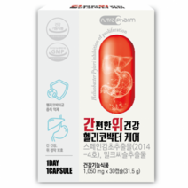 뉴트라팜 간편한 위건강 헬리코박터 케어 31.5g, 30정, 31.5ml, 1개